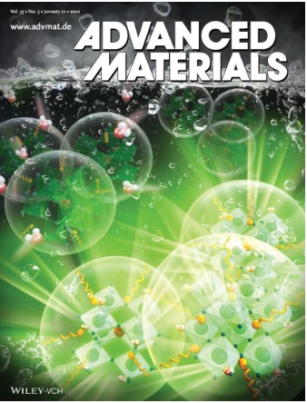 Advanced Materials inside cover illustrating crosslinked perovskite nanoparticle stability